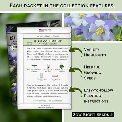 Sow Right Seeds - Perennial 5 Flower Garden Seed Collection for Planting - Russell Lupine, Black-Eyed Susan, Shasta Daisy, Purple Coneflower & Blue Columbine - Non-GMO Heirloom Packets Home Gardening