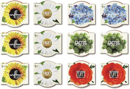 BUZZY Seeds Mini Terracotta Pots 12-Pack with Plant Seeds, Poppy, Sunflower, Daisy, Cactus and Forget Me Not, All-in-One Seed Starter Kit, Indoor Outdoor Gardening Gift, Wedding Favors, Mother's Day