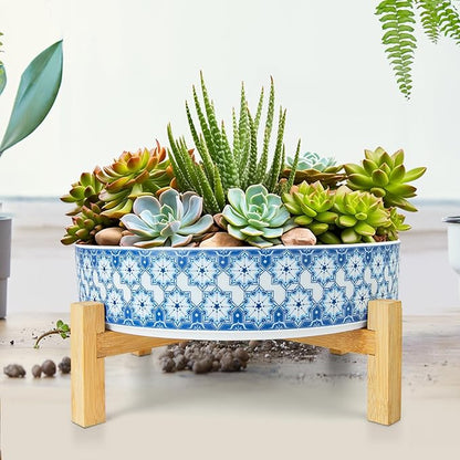 ARTKETTY Succulent Pots - 11 Inch Large Plant Pots Ceramic Bonsai Pots with Drainage Stand, Shallow Succulent Planters for Indoor Plants Decorative Flower Cactus Planter Bowl