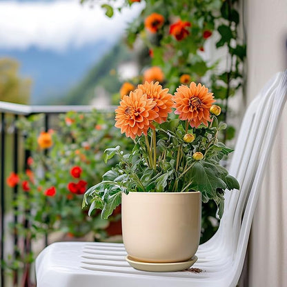 Ceramic Flower Pot 5 Inch - Round Succulent Planter for Indoor Plants with Drainage Hole and Saucer, Patio Room House Office Home Decor, Yellow