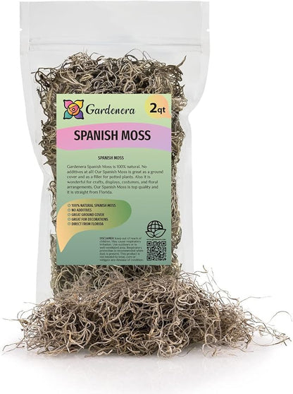 Gardenera Premium Natural Spanish Moss | Natural Preserved - Great Ground Cover - Filler for Potted Plants - 2 Quart Bag (GRD-SPANISH-MOSS-2QT)