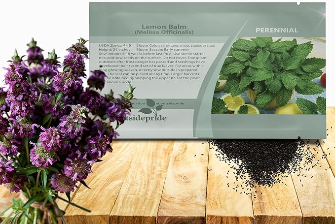 Outsidepride Lemon Bee Balm Seeds - 5,000 Perennial, Easy to Grow & Pollinator Friendly Melissa officinalis Flower Seeds for Planting Mint Scented Leaves & Edible Blooms, Great for Teas & Potpourri