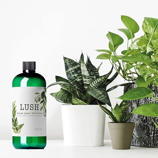 Lush Houseplant Fertilizer – Concentrated Liquid Plant Food (Makes 50+ Gallons) – 3-1-2 NPK for Indoor Plants, Monstera, Pothos & More - 500ml Concentrate
