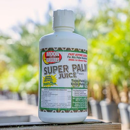 Super Palm Juice - Palm Tree Fertilizer - 1 Quart