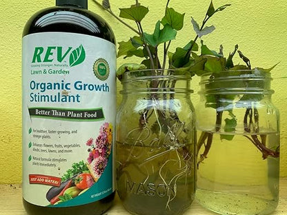 Organic REV Liquid Plant Growth Stimulant – OMRI Listed Organic Soil & Plant Supplement for Vegetables, Flowers & Lawns – Supports Root Development & Nutrient Uptake – 32 Ounce