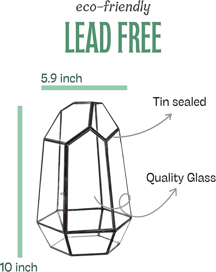 KraftStories Clear Glass Terrarium with Door | Geometric Design Container | Ideal Planter for Moss and Indoor Plants | Maintains Humidity | Self-Sustaining Indoor Garden Ecosystem (Only Terrarium)