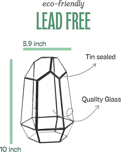 KraftStories Clear Glass Terrarium with Door | Geometric Design Container | Ideal Planter for Moss and Indoor Plants | Maintains Humidity | Self-Sustaining Indoor Garden Ecosystem (Only Terrarium)