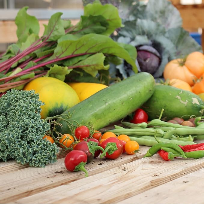 Mountain Valley Seed Company Vegetable Garden Can 50,000+ Seeds 16 Varieties for Long Term Storage, Emergency Supply, Survival Include Tomato, Pepper, Squash, Cucumber, Lettuce, Carrot, & More