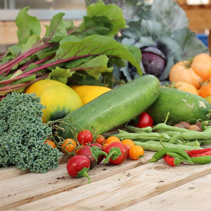 Mountain Valley Seed Company Vegetable Garden Can 50,000+ Seeds 16 Varieties for Long Term Storage, Emergency Supply, Survival Include Tomato, Pepper, Squash, Cucumber, Lettuce, Carrot, & More