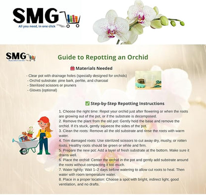 Premium Orchid Potting Mix – Hand-Blended Pine Bark, Charcoal & Perlite, Orchid Soil for Aeration, Humidity & Drainage, 4 Qt Bag – by SMG All you need, in one click