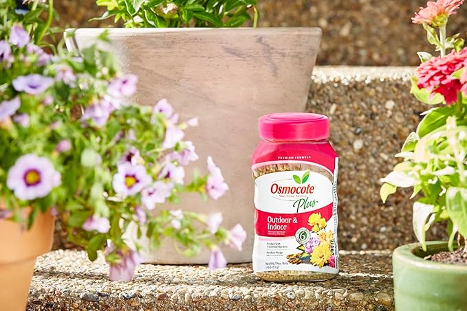 Osmocote Smart-Release Plant Food Plus Outdoor & Indoor, 1 lb. (Pack of 12)