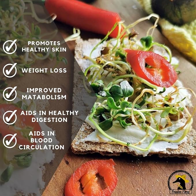 1/2 Pound Protein Bean Sprout Starter Seeds - 8 Servings per Bag - Organic NON-GMO - Includes Garbanzo, Adzuki, Mung, and Green Pea