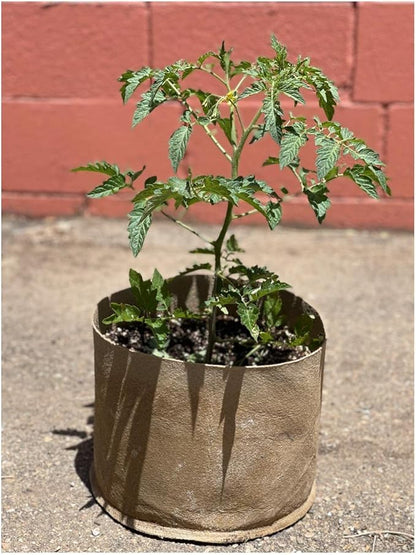 Sustainable Village Blumat Grow Bags - 5 Gallon Fabric Pots (5 Packs) for Plants - Breathable Waterproof Cloth Pots with MoistureLock Technology - Promotes Strong and Healthy Roots