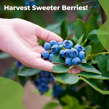 Liquid Blueberry Fertilizer by Perfect Plants | Berry Booster | Premium Fertilizer for Blueberries and Other Acidic Soil Fruiting Plants (8 fl oz)