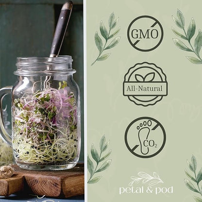 Petal & Pod Microgreens & Sprouting Seeds (12oz) - Mung Bean - Seeds for MicroGreens Growing Kit and Sprouting Jars
