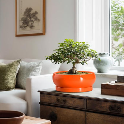 Bonsai Tree Pots - 10 Inch Ceramic Pots for Succulent Indoor Outdoor, Bonsai Pot with Drainage Hole and Tray, Round Planter Bowl, Shallow Planter, Home Decor, Housewarming Gift, Orange