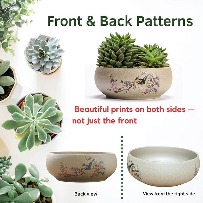 Lotus Bowl Planter, Ceramic Water Lily Bowl, Hydroponic Bonsai Lotus Bowls for Water Plants Indoor, Succulent Pots, Leak-Proof Design, Chirping Birds and Blooming Flowers (7.56in*2.76in)