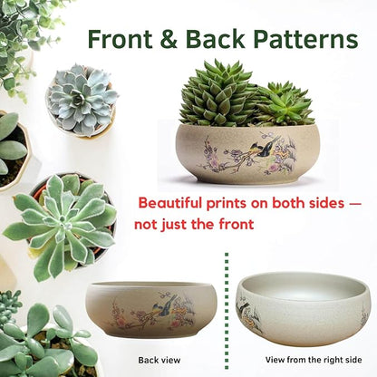 Lotus Bowl Planter, Ceramic Water Lily Bowl, Hydroponic Bonsai Lotus Bowls for Water Plants Indoor, Succulent Pots, Leak-Proof Design, Chirping Birds and Blooming Flowers (7.56in*2.76in)