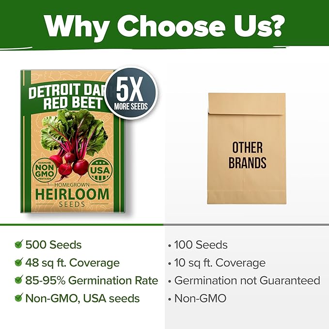 HOME GROWN Non GMO Detroit Dark Red Beet Seeds Pack - 500 Heirloom Vegetable Seeds for Planting - Red Beet for Home Garden High Germination(Beta vulgaris)