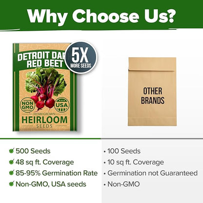 HOME GROWN Non GMO Detroit Dark Red Beet Seeds Pack - 500 Heirloom Vegetable Seeds for Planting - Red Beet for Home Garden High Germination(Beta vulgaris)
