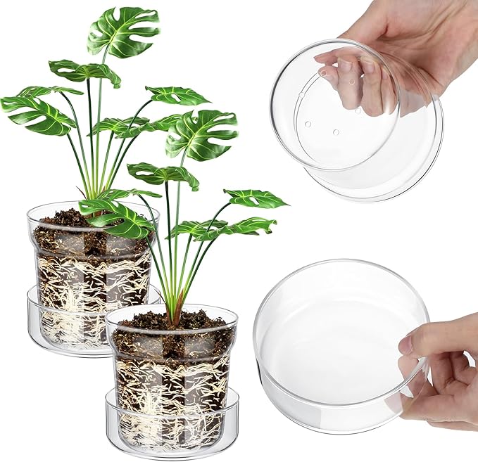 Baderke 4 Inch Glass Plant Pots with Saucer, Flower Nursery Plant Pots with Drainage for Flower Seed Starter Transparent Seedling (2 Sets)