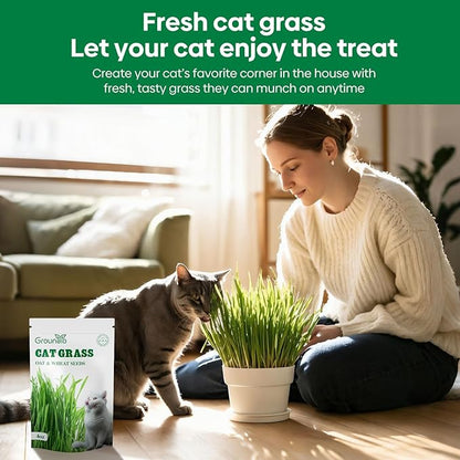 Cat Grass Seeds, 4 Oz, Non-GMO Wheat Cat Grass Seeeds & Oat Seeds Mix, High Germination Cat Grass Seeds Grown in USA for Indoor Cats