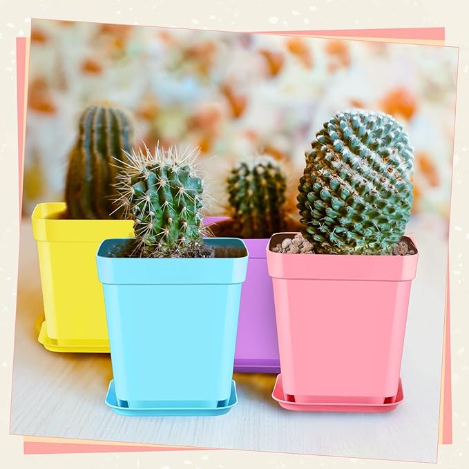 Zubebe 240 Pack Plastic Seedling Pots 3 Inch Flower Pots Small Square Plastic Plant Pots Succulent Planter Nursery Pots with Saucers for Outdoor Indoor Starting Seedlings Garden Room (Colorful)