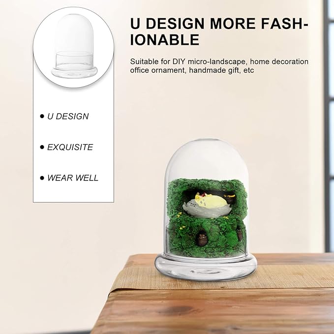 Cabilock Glass Terrarium Bottle 6.10X4.72X4.72In with Clear Dome for Micro Landscape Display and Plant Humidity Control Indoor Garden Decor