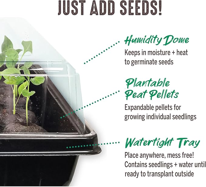 Jiffy Seed Starting Tray Kit - 36 Cell, Bonus 3 Pack, Seeding Starter Kit - 11 x 11 x 4.25 in - Plastic