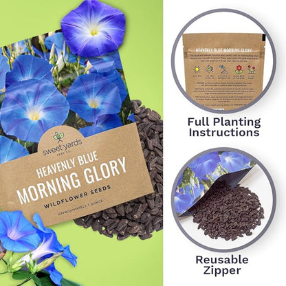 Morning Glory Seeds Heavenly Blue - Large 1 Ounce Packet - Over 1,000 Flower Seeds
