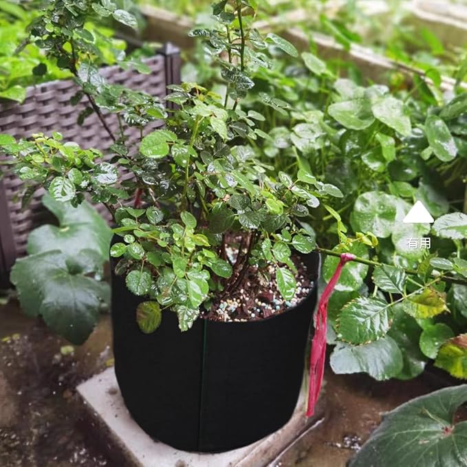 5Pcs Grow Bag, 1/2Gallon Fabric Raised Garden Bed Reusable Large Plant Pots Cloth Raised Garden Bed Rectangle Durable Fabric Raised Planting Bed Fabric Containers Planting Bag
