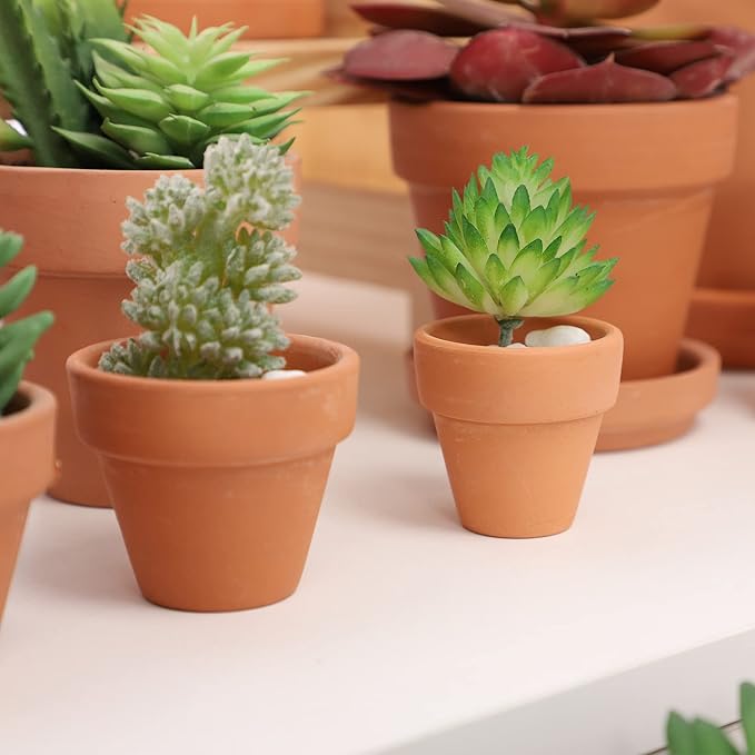 Yishang 1.9 Inch Tiny Terracotta Pots Pack of 72-Small Mini Clay Pots with Drainage Holes Flower Nursery Terra Cotta Planter for Tiny Cactus Herb lithop,Succulent Plants,Crafts,Wedding Favor