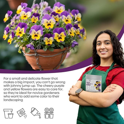 Johnny Jump Up Seeds, 10000+ Perennial Wild Violet Seeds for Planting, Edible Flowers, Non-GMO | Heirloom | Attracts pollinators, Grown in The USA