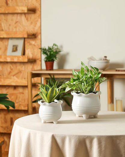 Ceramic Planter, 2 Piece Ceramic Planter Set with Drainage Hole for Home and Office, Indoor Plant Potting, Suitable for Succulents, Bonsai, Snake Grass and Money Tree, etc. (White)