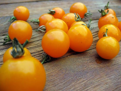 Seeds Golden Cherry Tomato Indeterminate Non GMO Vegetable for Planting