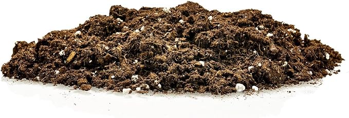 GARDENERA Premium Soil Blend for Money Trees - 3 Quart - Perfect for Growing and Repotting Guiana Chestnut