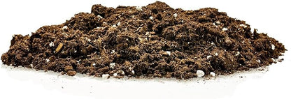 GARDENERA Premium Soil Blend for Money Trees - 5 Quart - Perfect for Growing and Repotting Guiana Chestnut