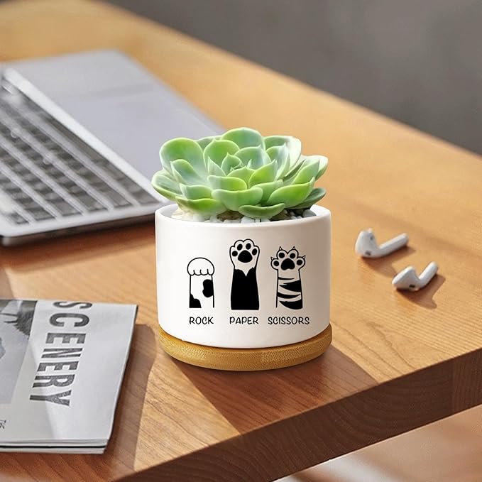 Funny Cat Ceramic Planter Pot, Cute Succulents Pots for Indoor Cat Lover Women Friends Coworker Sister Bestie Birthday, Office Desk Windowsill Decor (Plants Not Included)