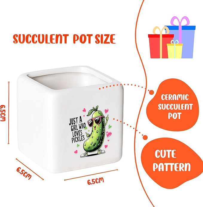 Pickle Succulent Planter Flower Plant Pot Small, Gifts for Women Teens Girls Kids, Pickle Lovers Themed Stuff Accessories Things Decor Merch, Home Office Table Desk Decoration!