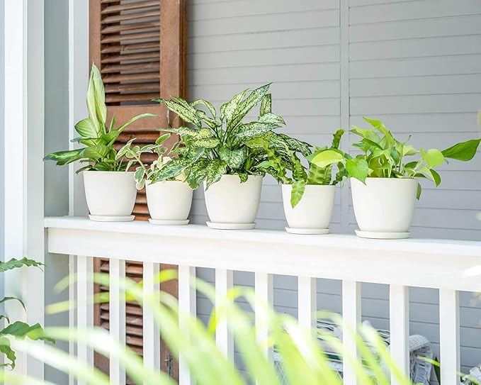 Mkono 6.5 Inch Plastic Planters with Saucers Set of 5 Macrame Plant Hangers Set of 4 Indoor Decorative Flower Pot Holder with 4 Hooks