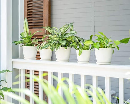 Mkono 6.5 Inch Plastic Planters with Saucers Set of 5 Macrame Plant Hangers Set of 4 Indoor Decorative Flower Pot Holder with 4 Hooks