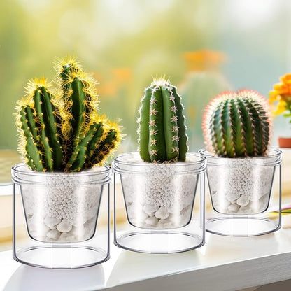 Baderke 2 Pcs 4 Inch Self Watering Pot for Indoor Plants Clear Glass Planter Small Plant Pot with Saucer Reservoir Drainage Holes Bottom Watering Pot for African Violet Orchid Flowers Houseplant
