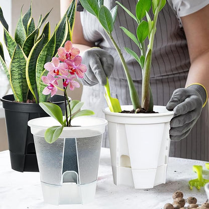 Plant Pots 6 inch Set of 5, Self Watering Pots for Indoor Outdoor, Self Watering Planters Flower Pots with Drainage Hole and Saucer Reservoir (Clear)