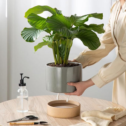 Self Watering Ceramic Planter: 8 Inch Plant Pot with Drainage Hole & Water Storage Plus for Outdoor & Indoor Plants, Succulents, Herbs - Flower Pot for Home or Office Decor - Dark Grey