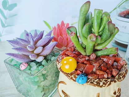 ZHIYUXI Carnelian Crystal Chips Fish Tank Gravel Vase Filler Stones Crushed Crystals Gemstone Polished Healing Crystals Natural Quartz Stone 0.44lbs