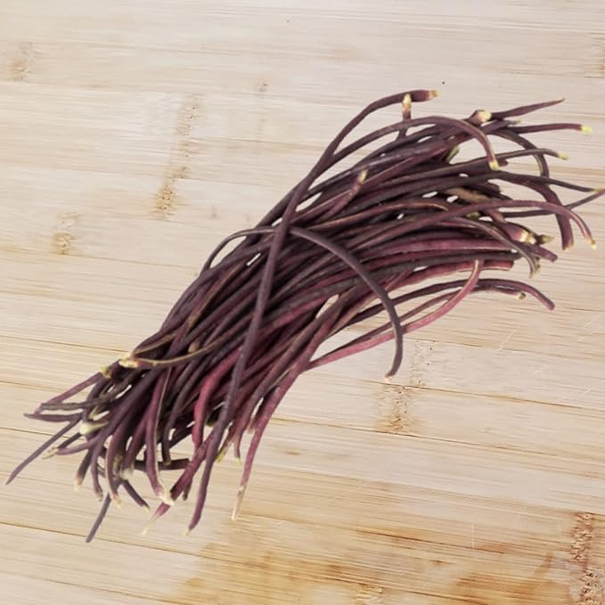 Purple Yard Long Bean Seeds 85+ Seeds, Asian Heirloom Yard Long Beans Seeds, Asparagus Beans Seeds, Phaseolus Vulgaris, Non GMO