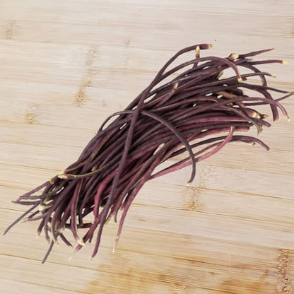 Purple Yard Long Bean Seeds 85+ Seeds, Asian Heirloom Yard Long Beans Seeds, Asparagus Beans Seeds, Phaseolus Vulgaris, Non GMO
