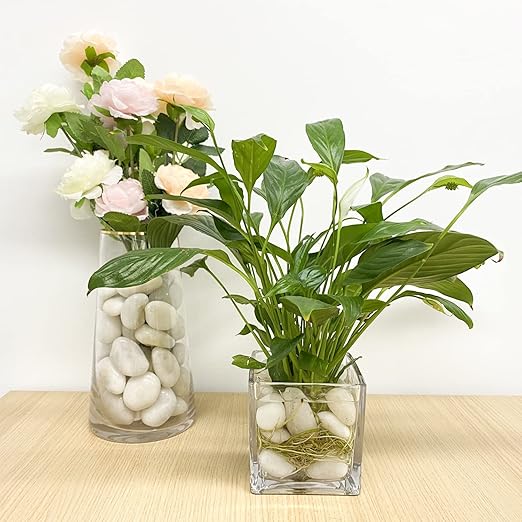 40 lbs White River Rocks for Landscaping, 1-2 Inch Polished Pebbles for Indoor Plants, Decorative White Stones for Plants, Vase, Aquarium, Fish Tank and Garden