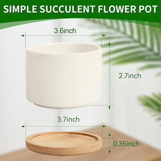 ZOUTOG Ceramic Succulent Pots 8 Pack,3.6 Inch Plant Pots,Succulent Planters with Drainage Hole & Bamboo Tray for Indoor Plants,White Small Flower Planters for Home,Office,Desk