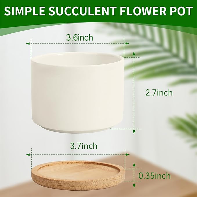 ZOUTOG Ceramic Succulent Pots,3.6 Inch Plant Pots,Succulent Planters with Drainage Hole & Bamboo Tray for Indoor Plants,White Small Flower Planters for Home,Office,Desk(6 Pack)